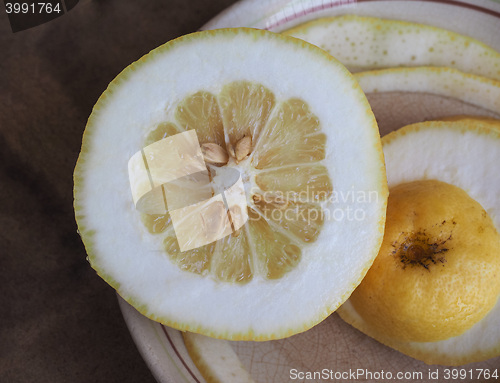 Image of Citron citrus fruit