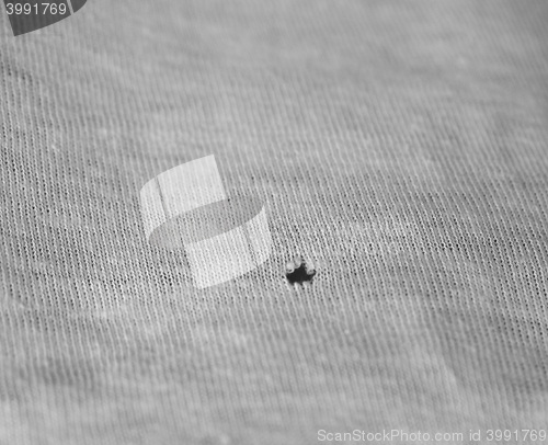 Image of Hole in fabric