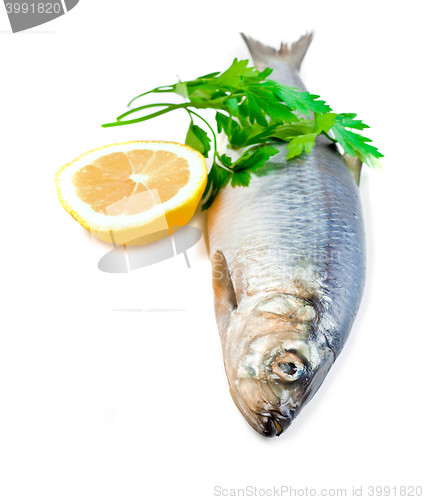 Image of fish with lemon