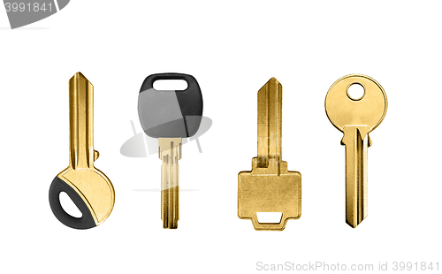 Image of golden keys on white background