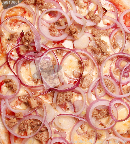 Image of onion pizza background