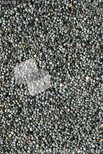 Image of Poppy seeds