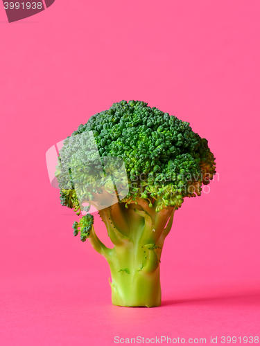 Image of fresh green broccoli