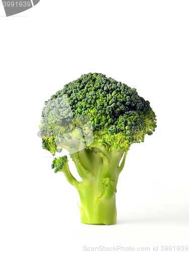 Image of fresh green broccoli