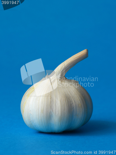 Image of single bulb of garlic