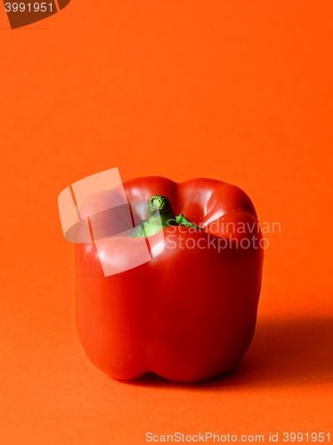 Image of Red Bell pepper
