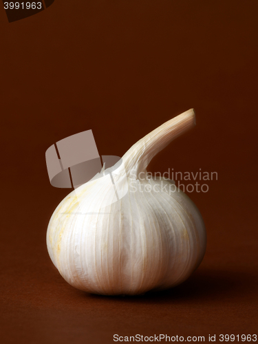 Image of single bulb of garlic