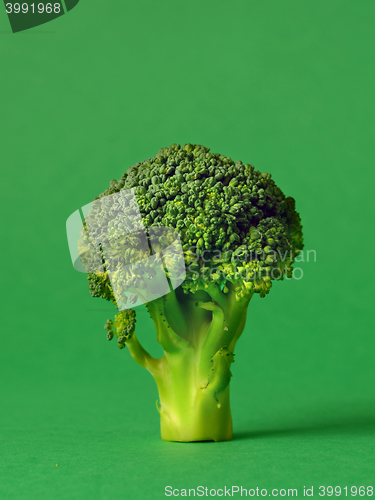 Image of fresh green broccoli