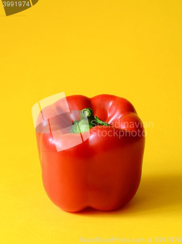 Image of Red Bell pepper