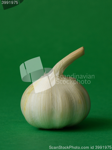 Image of single bulb of garlic