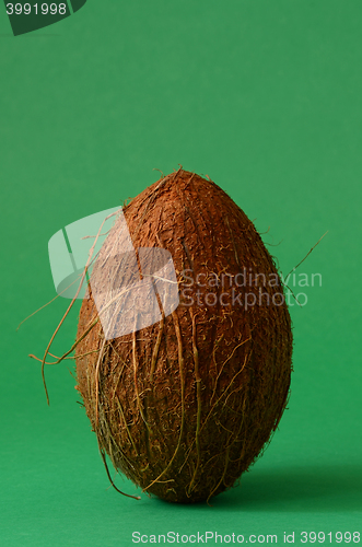Image of Single whole coconut