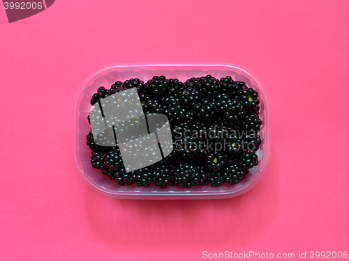 Image of Fresh blackberries in plastic box