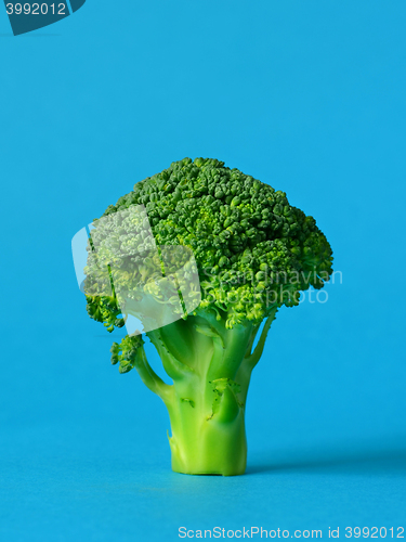 Image of fresh green broccoli