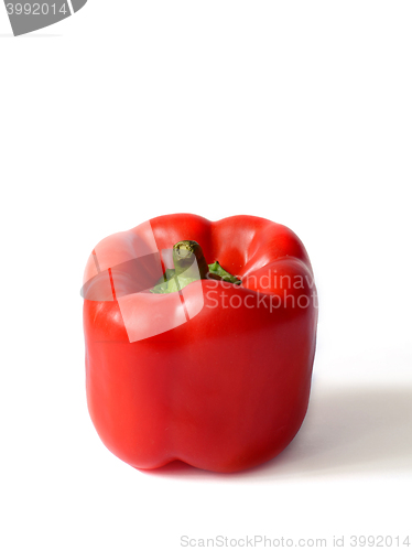 Image of Red Bell pepper