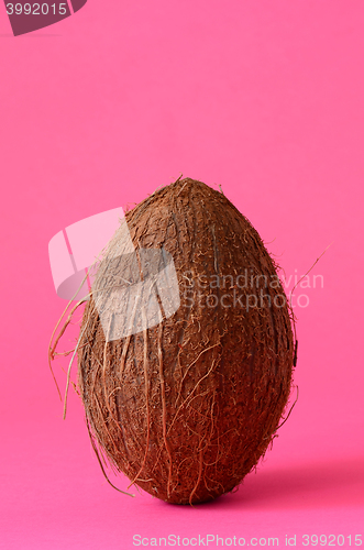 Image of Single whole coconut