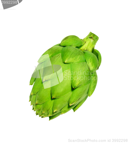 Image of Ripe green artichoke vegetable isolated on white background