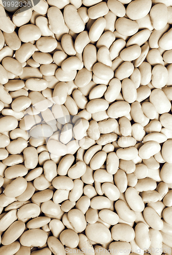 Image of beans background pattern