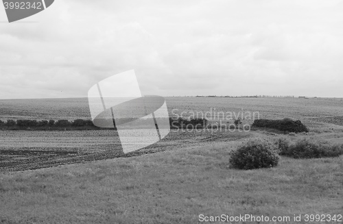 Image of English country landscape