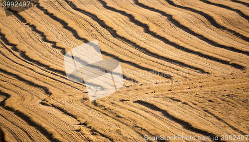 Image of harvested field with straw lines