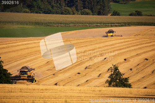 Image of Yellow harvester combine on field harvesting gold wheat