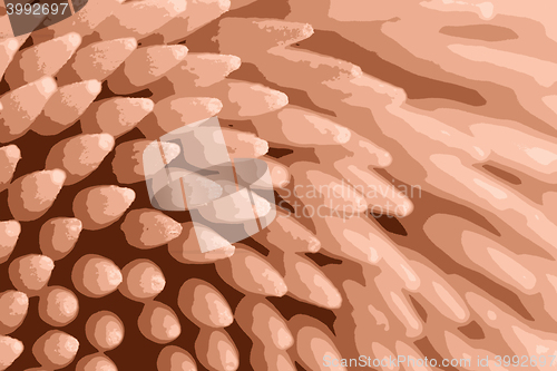 Image of close up of toothpick vector illustration