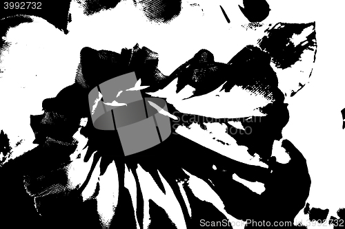 Image of vector black and white abstract pattern texture background