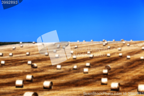 Image of stack of straw in the field