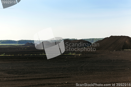 Image of extraction of peat