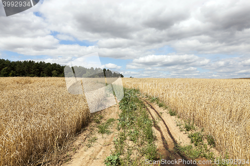 Image of Rural paved road