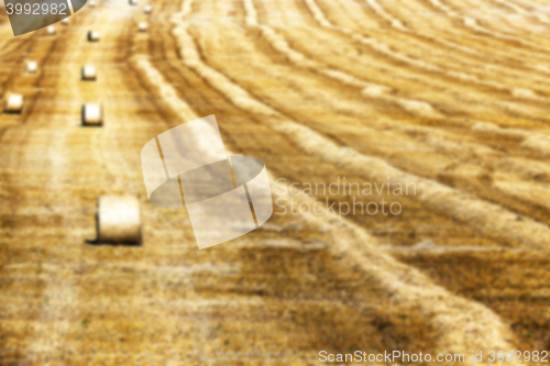 Image of haystacks in a field of straw