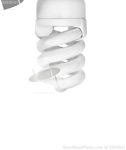 Image of Saving bulb closeup