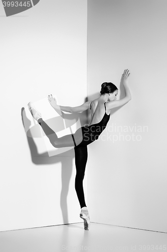 Image of Ballerina in black outfit posing on pointe shoes, studio background.