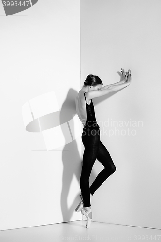 Image of Ballerina in black outfit posing on pointe shoes, studio background.