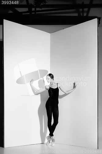 Image of Ballerina in black outfit posing on pointe shoes, studio background.