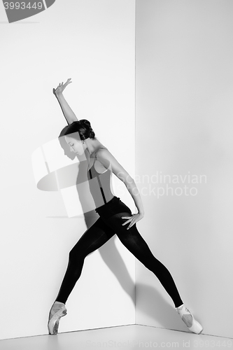 Image of Ballerina in black outfit posing on pointe shoes, studio background.