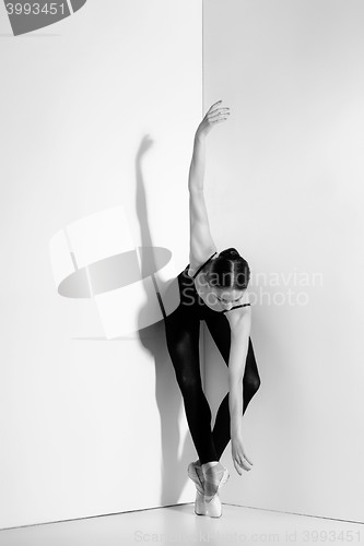 Image of Ballerina in black outfit posing on pointe shoes, studio background.