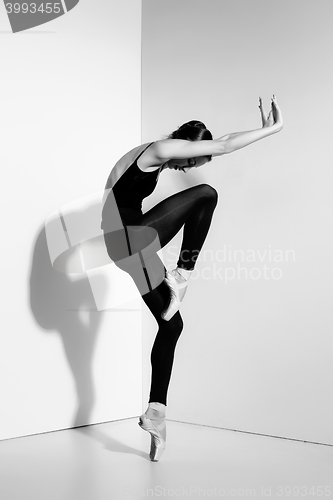 Image of Ballerina in black outfit posing on pointe shoes, studio background.