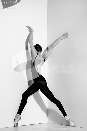 Image of Ballerina in black outfit posing on pointe shoes, studio background.