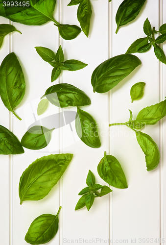Image of Fresh Basil Leafs