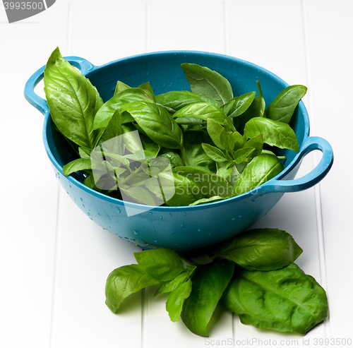 Image of Fresh Basil Leafs