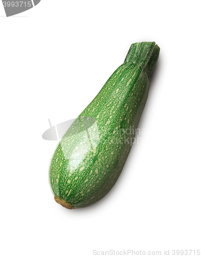 Image of green butternut squash on white background