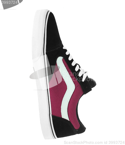 Image of one sneaker isolated on white background