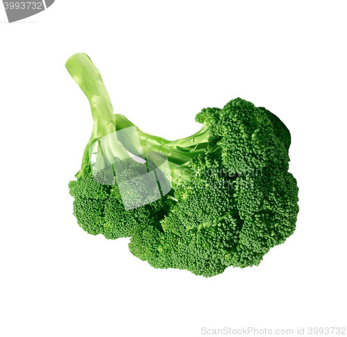 Image of Fresh broccoli, isolated on white