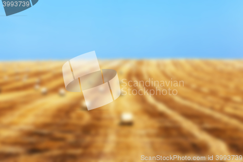 Image of agriculture, not in focus