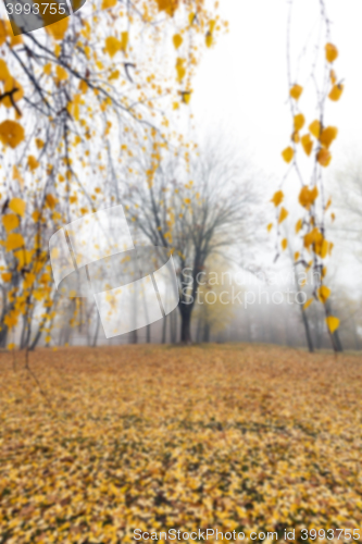 Image of Autumn Park, overcast