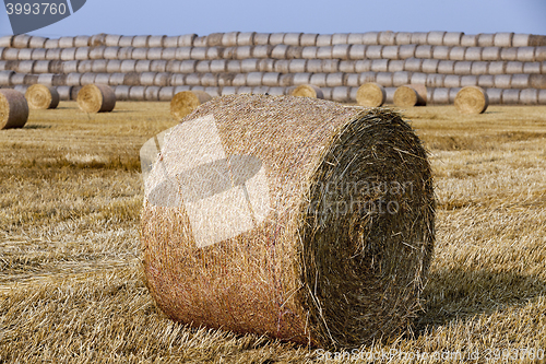 Image of stack of straw in the field