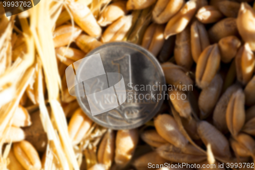Image of coin in the straw