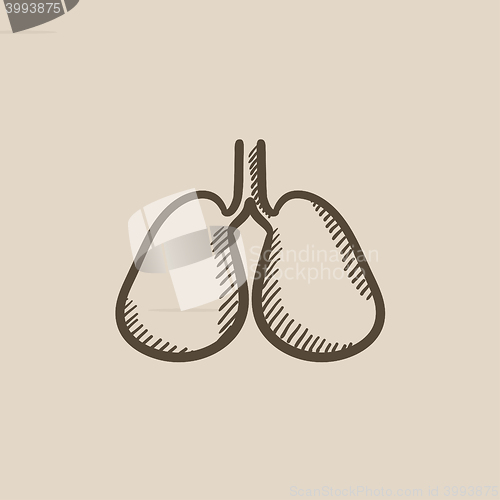 Image of Lungs sketch icon.