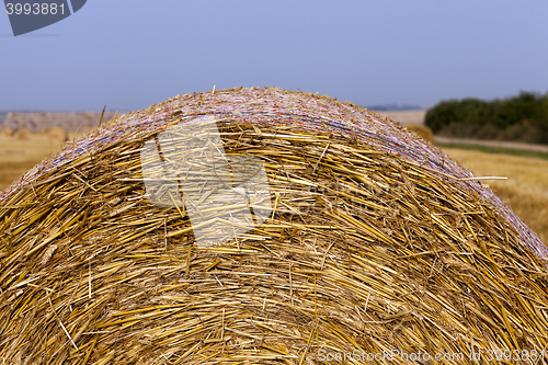 Image of stack of straw in the field