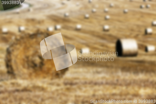 Image of stack of straw in the field